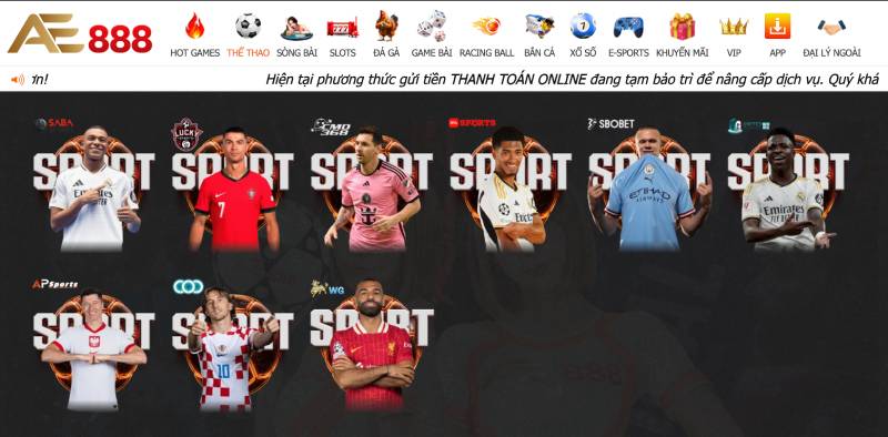 Chiến Thuật Chơi Thể Thao Ae888 - Bí Kíp Thành Công Nhanh 7 Bước 3: Chọn môn thể thao